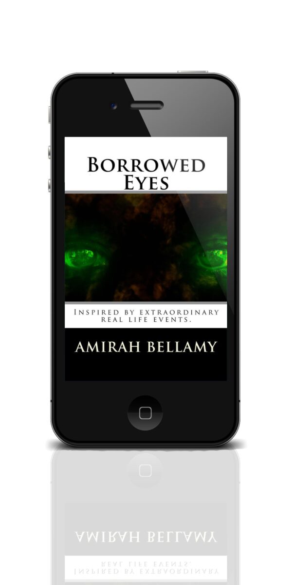 Borrowed Eyes - Image 2